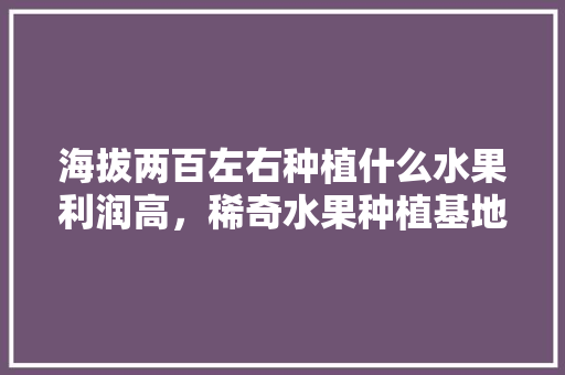 海拔两百左右种植什么水果利润高，稀奇水果种植基地。 蔬菜种植