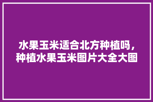 水果玉米适合北方种植吗，种植水果玉米图片大全大图。 家禽养殖