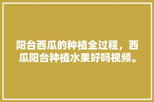 阳台西瓜的种植全过程，西瓜阳台种植水果好吗视频。 家禽养殖