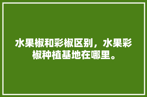 水果椒和彩椒区别，水果彩椒种植基地在哪里。 水果种植