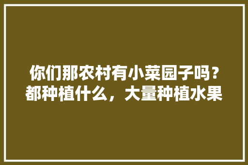 你们那农村有小菜园子吗？都种植什么，大量种植水果蔬菜的危害。 水果种植