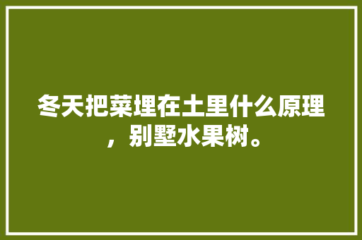 冬天把菜埋在土里什么原理，别墅水果树。 土壤施肥