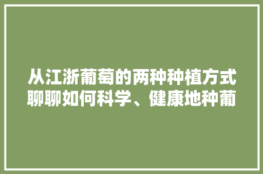 从江浙葡萄的两种种植方式聊聊如何科学、健康地种葡萄，金华冬季水果种植时间表。 土壤施肥