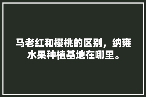 马老红和樱桃的区别，纳雍水果种植基地在哪里。 水果种植