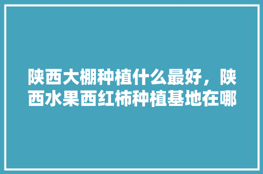 陕西大棚种植什么最好，陕西水果西红柿种植基地在哪里。 蔬菜种植