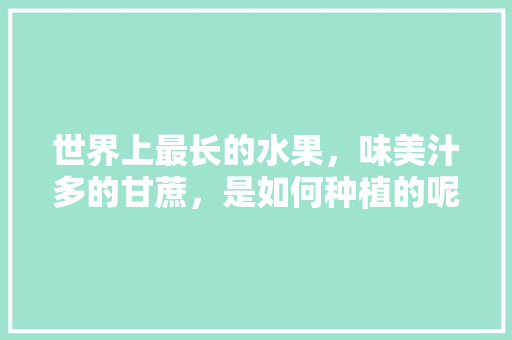 世界上最长的水果，味美汁多的甘蔗，是如何种植的呢，种植巨型水果图片大全。 土壤施肥