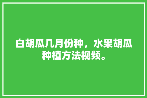 白胡瓜几月份种，水果胡瓜种植方法视频。 蔬菜种植