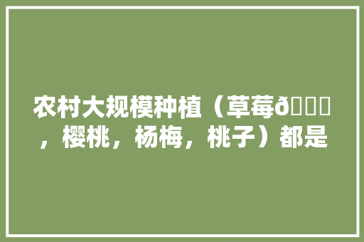 农村大规模种植（草莓🍓，樱桃，杨梅，桃子）都是应季水果，怎么做到深加工快速消费，如何快速种植水果蔬菜。 家禽养殖