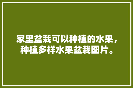 家里盆栽可以种植的水果，种植多样水果盆栽图片。 蔬菜种植