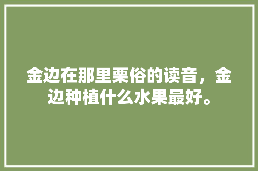 金边在那里栗俗的读音，金边种植什么水果最好。 蔬菜种植