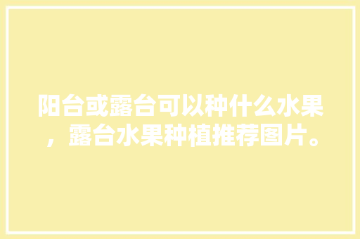 阳台或露台可以种什么水果，露台水果种植推荐图片。 家禽养殖