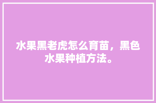 水果黑老虎怎么育苗，黑色水果种植方法。 土壤施肥