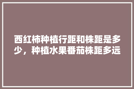 西红柿种植行距和株距是多少，种植水果番茄株距多远合适。 水果种植