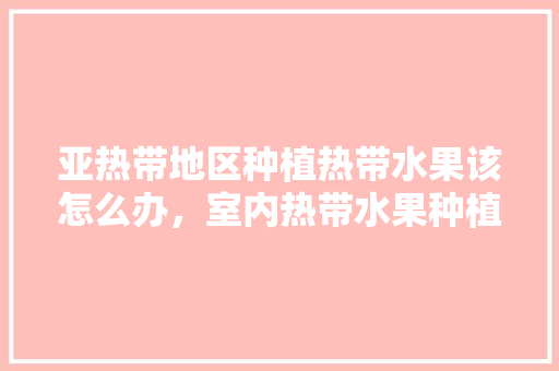 亚热带地区种植热带水果该怎么办，室内热带水果种植方法。 水果种植