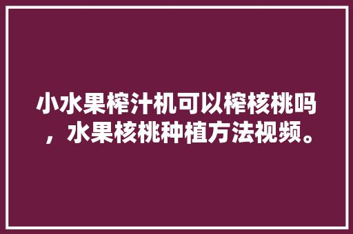 小水果榨汁机可以榨核桃吗，水果核桃种植方法视频。 水果种植