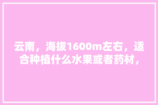 云南，海拔1600m左右，适合种植什么水果或者药材，云南冬季水果种植方法有哪些。 蔬菜种植