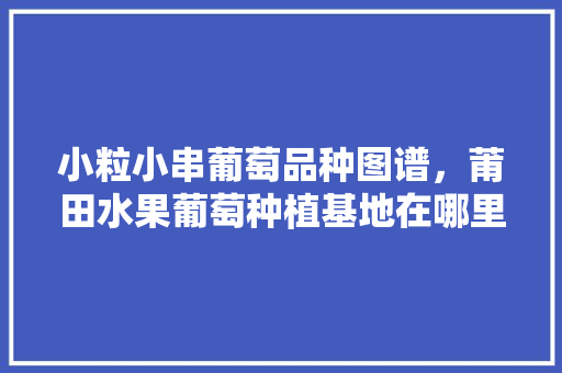 小粒小串葡萄品种图谱，莆田水果葡萄种植基地在哪里。 畜牧养殖