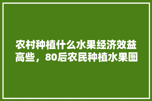 农村种植什么水果经济效益高些，80后农民种植水果图片。 水果种植