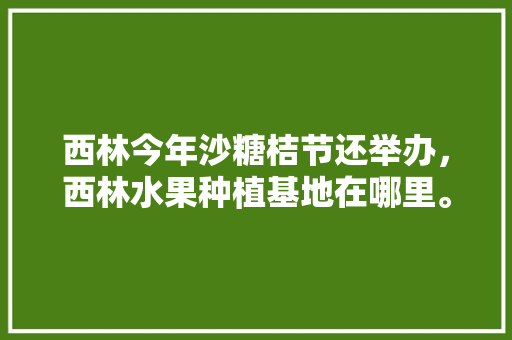 西林今年沙糖桔节还举办，西林水果种植基地在哪里。 水果种植