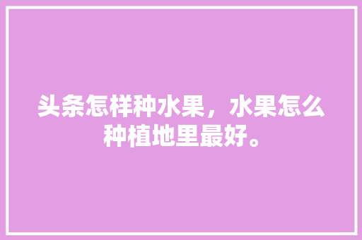 头条怎样种水果，水果怎么种植地里最好。 畜牧养殖