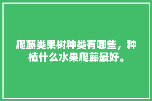 爬藤类果树种类有哪些，种植什么水果爬藤最好。 水果种植