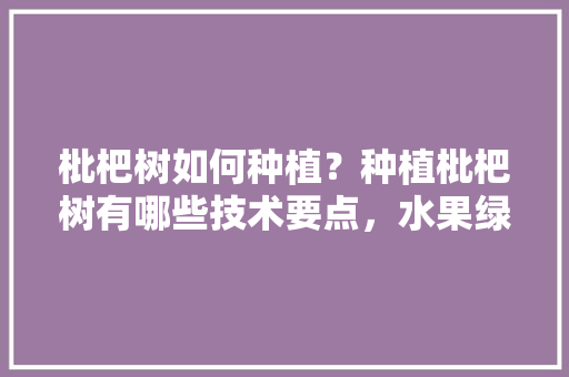 枇杷树如何种植？种植枇杷树有哪些技术要点，水果绿植种植教学设计。 土壤施肥