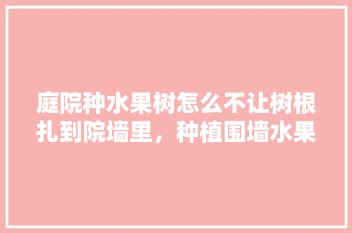 庭院种水果树怎么不让树根扎到院墙里，种植围墙水果树图片。 水果种植