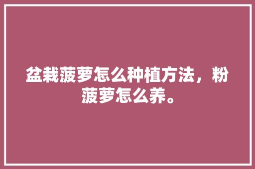 盆栽菠萝怎么种植方法，粉菠萝怎么养。 家禽养殖