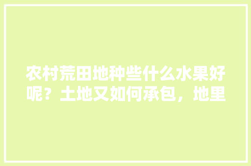 农村荒田地种些什么水果好呢？土地又如何承包，地里可种植水果吗。 水果种植