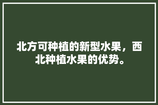 北方可种植的新型水果，西北种植水果的优势。 土壤施肥