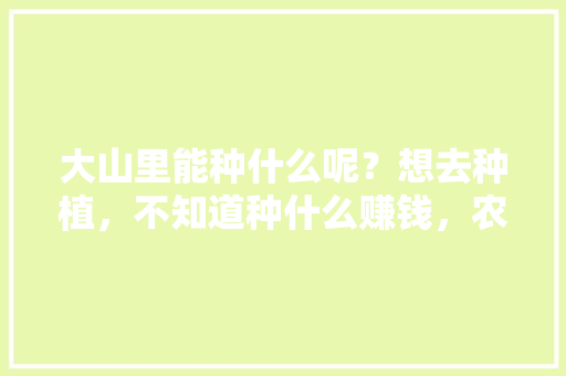 大山里能种什么呢？想去种植，不知道种什么赚钱，农村水果种植素材图片。 蔬菜种植