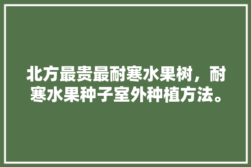 北方最贵最耐寒水果树，耐寒水果种子室外种植方法。 畜牧养殖