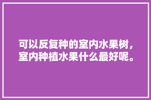 可以反复种的室内水果树，室内种植水果什么最好呢。 土壤施肥