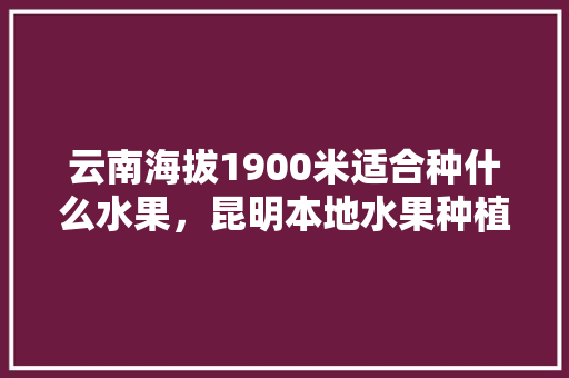 云南海拔1900米适合种什么水果，昆明本地水果种植基地。 家禽养殖