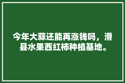 今年大蒜还能再涨钱吗，滑县水果西红柿种植基地。 水果种植