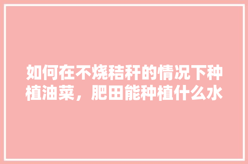 如何在不烧秸秆的情况下种植油菜，肥田能种植什么水果呢。