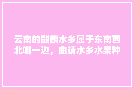 云南的麒麟水乡属于东南西北哪一边，曲靖水乡水果种植基地在哪里。