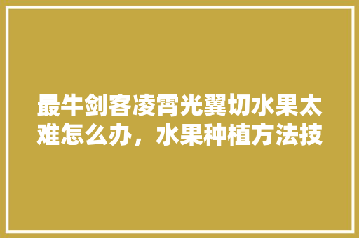 最牛剑客凌霄光翼切水果太难怎么办，水果种植方法技巧视频教程。