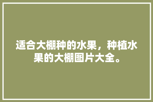 适合大棚种的水果，种植水果的大棚图片大全。