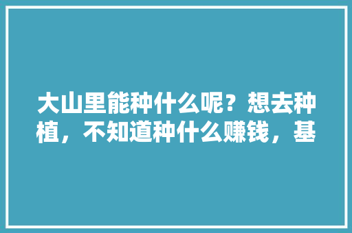 大山里能种什么呢？想去种植，不知道种什么赚钱，基层种植水果补贴政策。