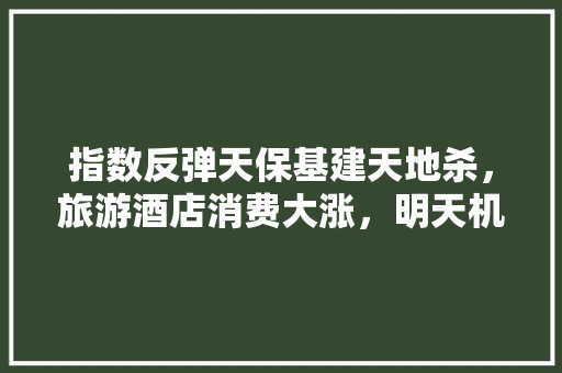 指数反弹天保基建天地杀，旅游酒店消费大涨，明天机会在什么方向，红塔水果种植基地地址。