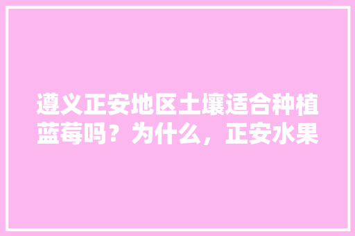 遵义正安地区土壤适合种植蓝莓吗？为什么，正安水果蓝莓种植基地在哪里。 土壤施肥