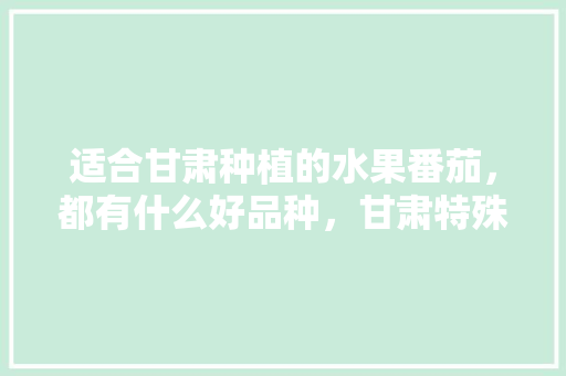 适合甘肃种植的水果番茄，都有什么好品种，甘肃特殊水果种植基地。 畜牧养殖