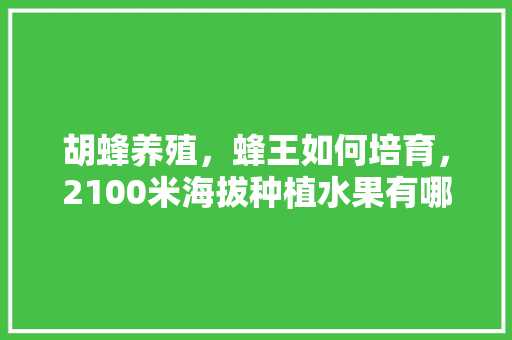 胡蜂养殖，蜂王如何培育，2100米海拔种植水果有哪些。