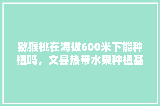 猕猴桃在海拔600米下能种植吗，文县热带水果种植基地在哪里。