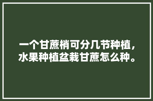 一个甘蔗梢可分几节种植，水果种植盆栽甘蔗怎么种。