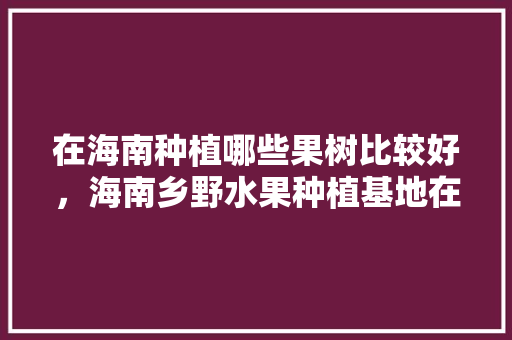 在海南种植哪些果树比较好，海南乡野水果种植基地在哪里。