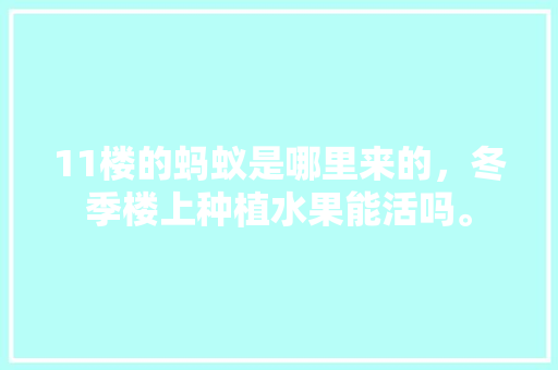 11楼的蚂蚁是哪里来的，冬季楼上种植水果能活吗。