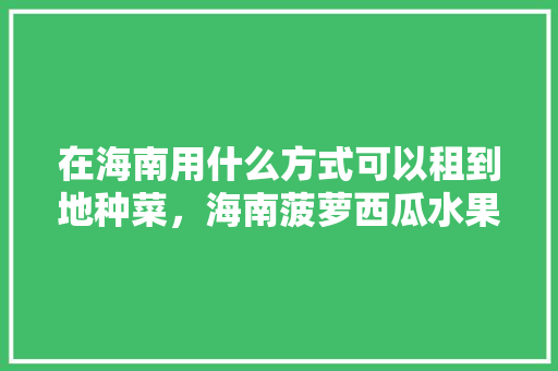 在海南用什么方式可以租到地种菜，海南菠萝西瓜水果种植基地。