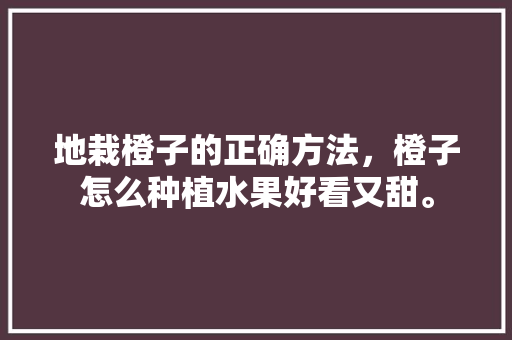 地栽橙子的正确方法，橙子怎么种植水果好看又甜。